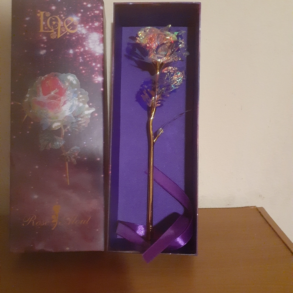 Galaxy rose